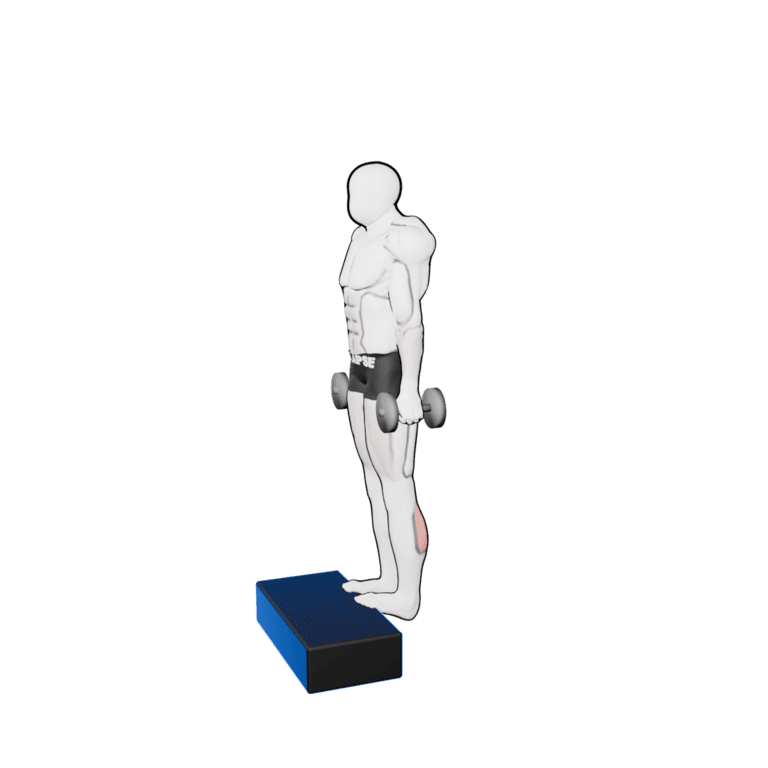 Dumbbell Calf Raise — starting position, second camera angle