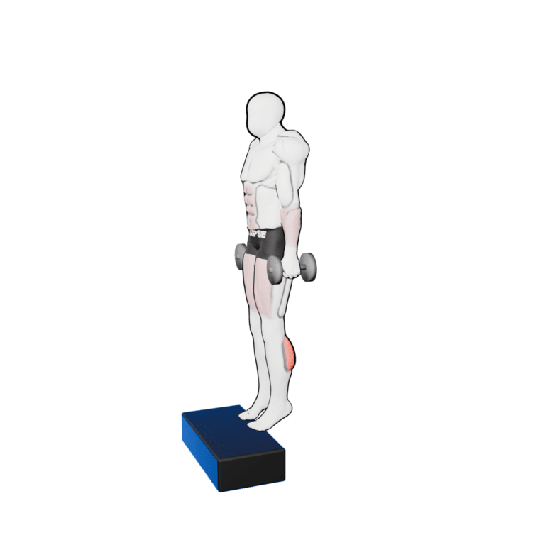 Dumbbell Calf Raise — finishing position, second camera angle, working the calves and forearms