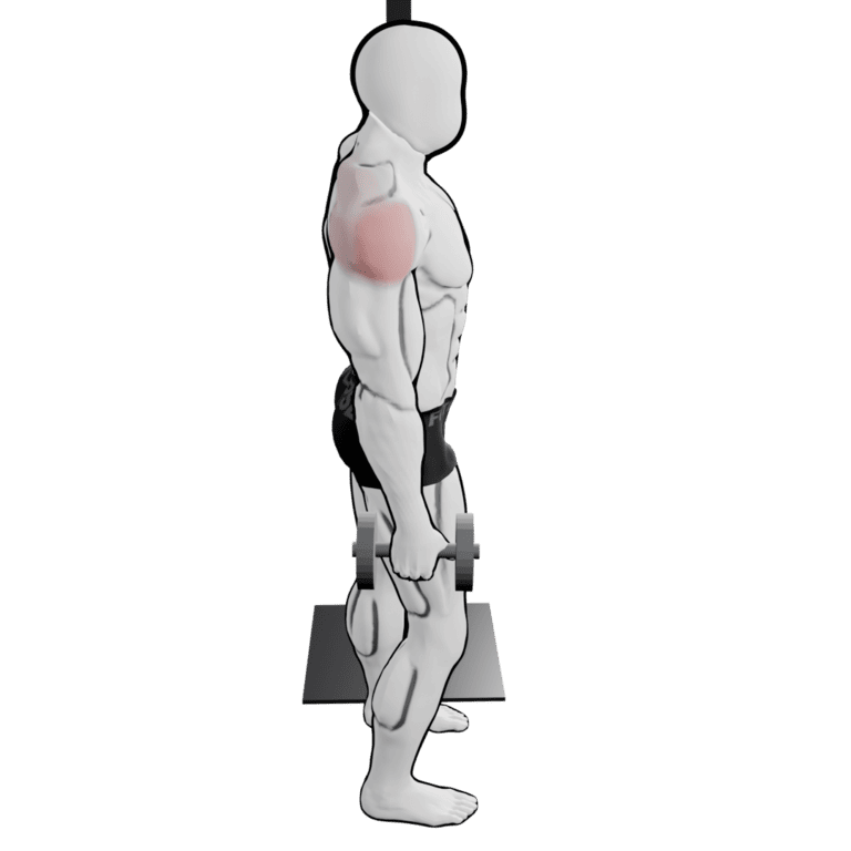 Dumbbell Lean-Away Lateral Raise — starting position