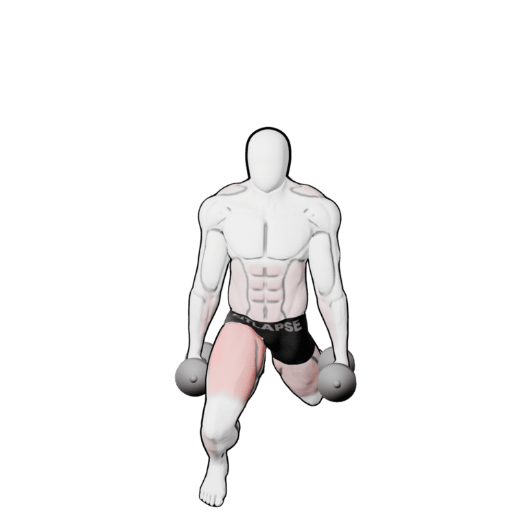 Dumbbell Reverse Lunge — starting position