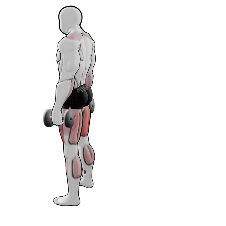 Dumbbell Reverse Lunge — finishing position, second camera angle, working the quadriceps and glutes