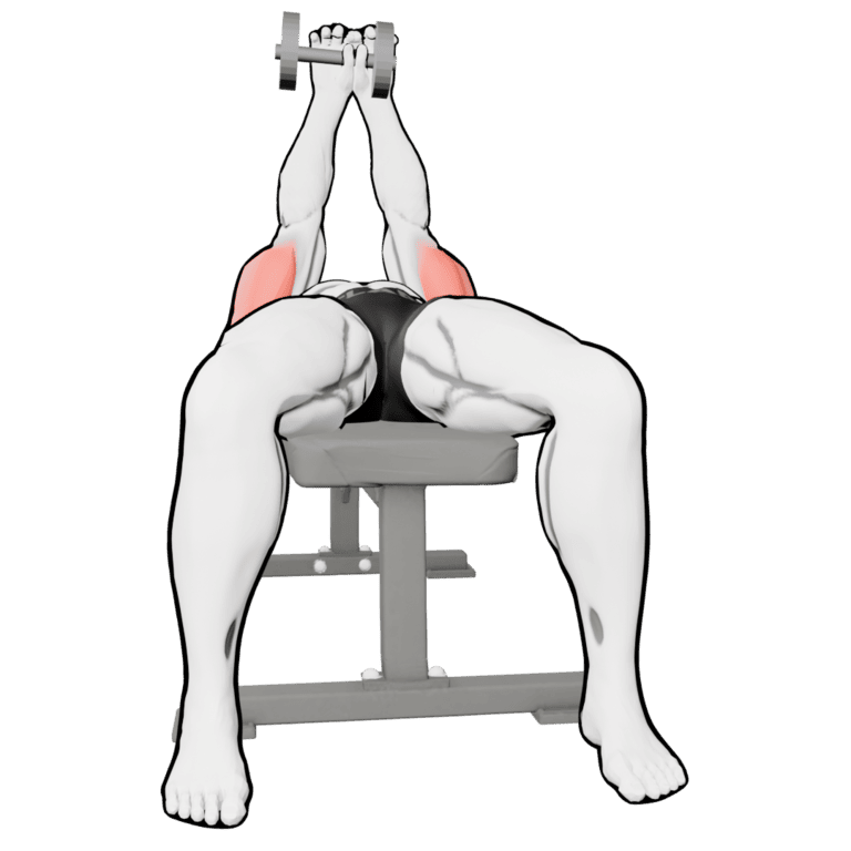 Lying Two-Hand Dumbbell Triceps Extension — finishing position, second camera angle, working the triceps