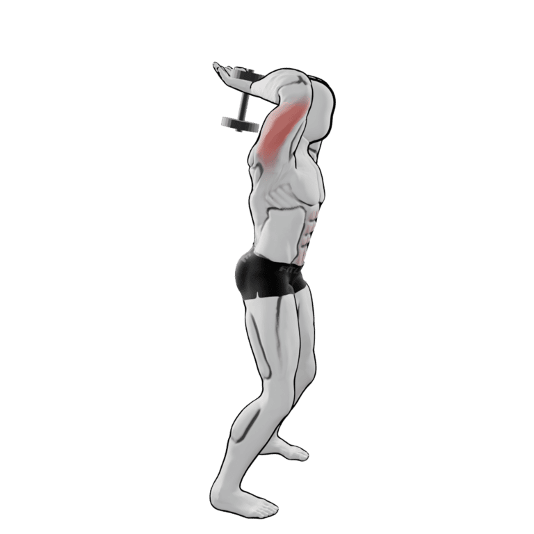 Two-Hand Overhead Dumbbell Extension — starting position