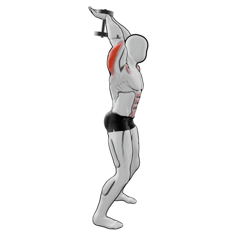 Two-Hand Overhead Dumbbell Extension — finishing position, working the triceps and front delts