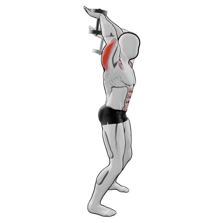 Two-Hand Overhead Dumbbell Extension