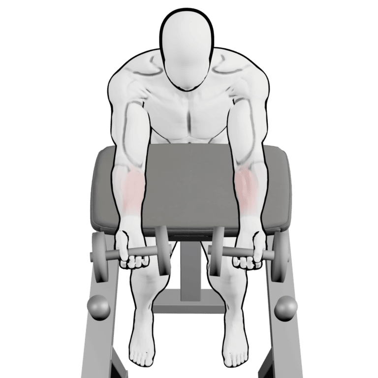 Preacher Dumbbell Wrist Curl — starting position