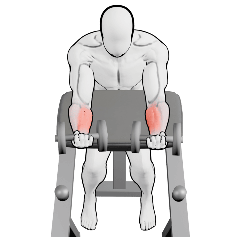 Preacher Dumbbell Wrist Curl — finishing position, working the forearms
