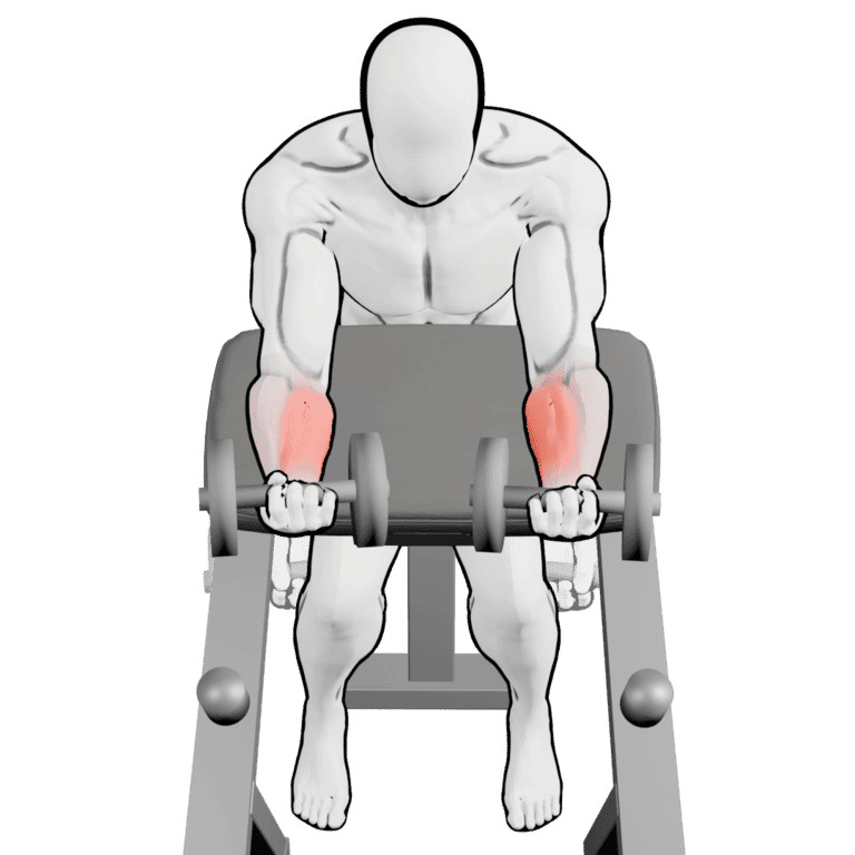Preacher Dumbbell Wrist Curl