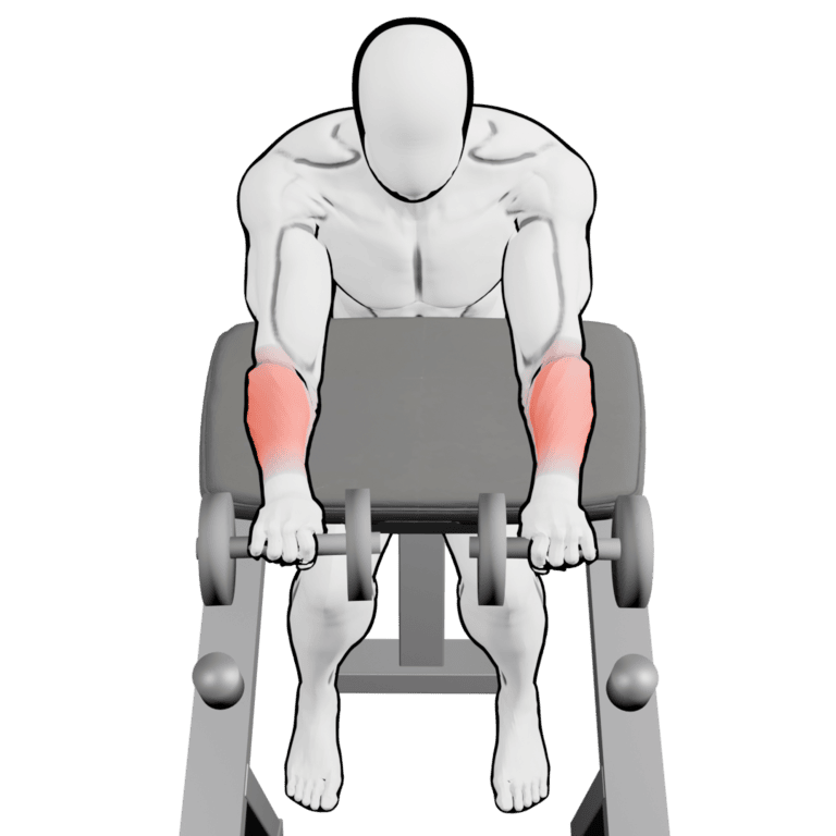 Preacher Reverse Dumbbell Wrist Curl — finishing position, working the forearms