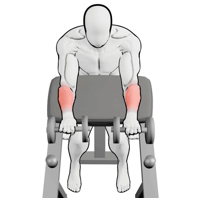 Preacher Reverse Dumbbell Wrist Curl