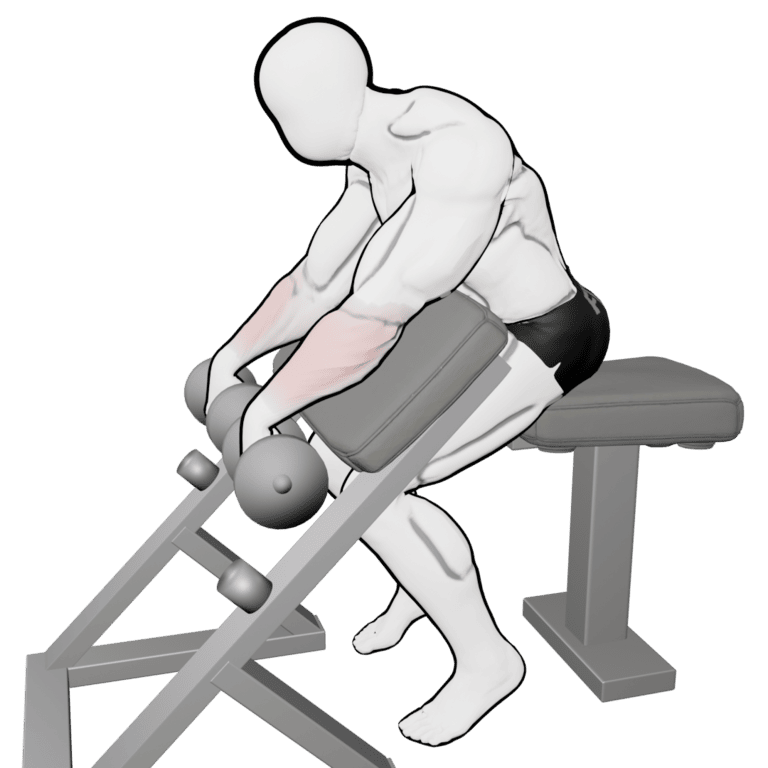 Preacher Reverse Dumbbell Wrist Curl — starting position, second camera angle