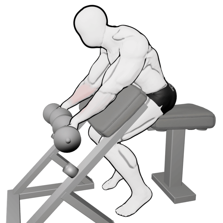 Preacher Dumbbell Wrist Curl — starting position, second camera angle