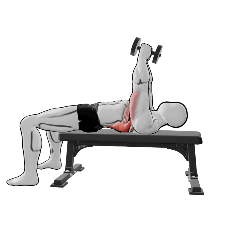 Dumbbell Pullover — finishing position, working the lats and middle chest