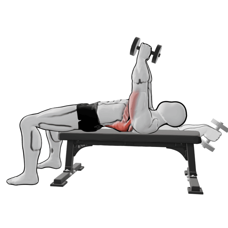 Dumbbell Pullover