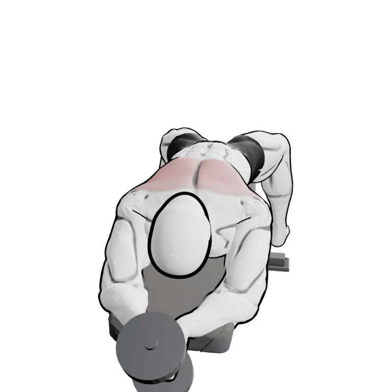 Dumbbell Pullover — starting position, second camera angle