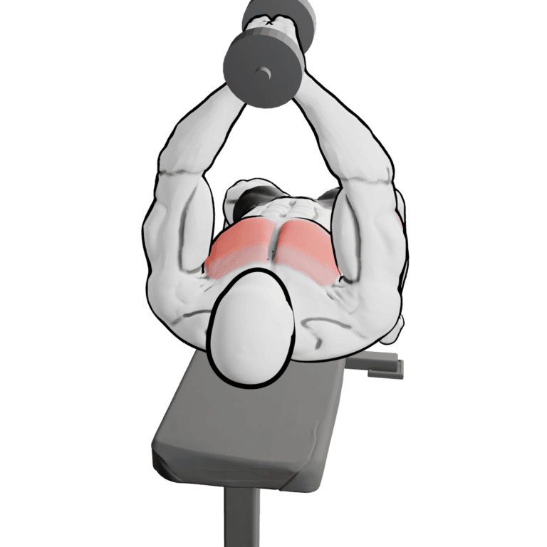 Dumbbell Pullover — finishing position, second camera angle, working the lats and middle chest