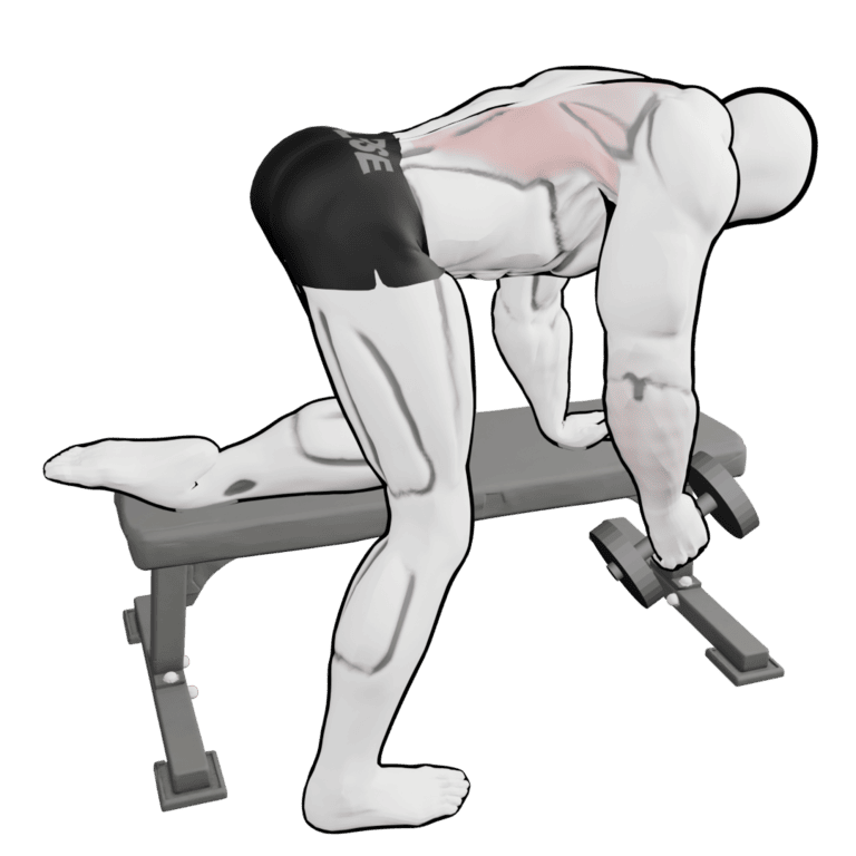 Single-Arm Dumbbell Row — starting position