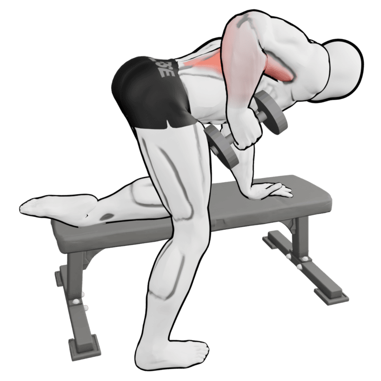 Single-Arm Dumbbell Row — finishing position, working the lats and teres major
