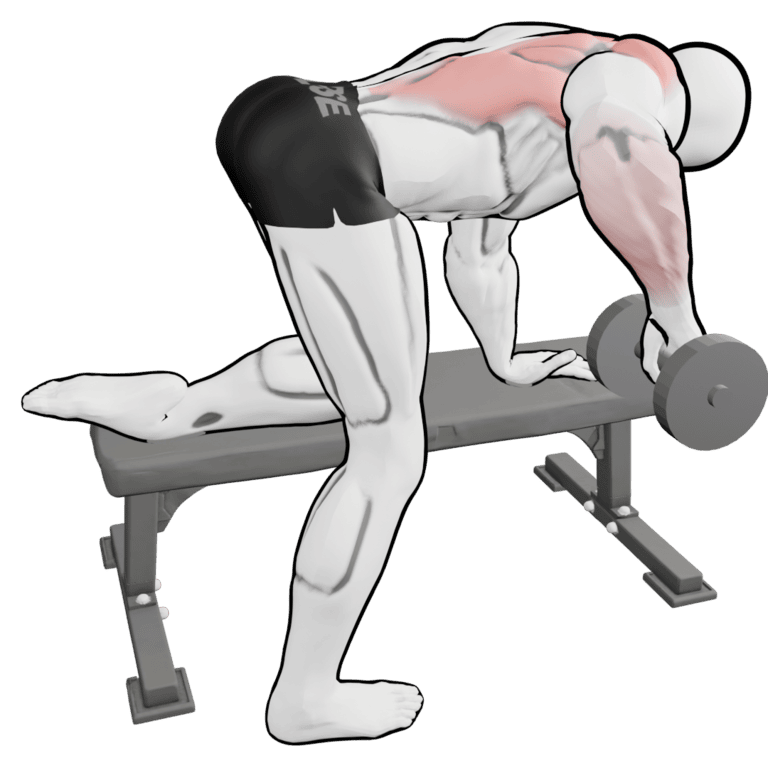 Single-Arm Overhand Dumbbell Row — finishing position, working the mid traps and rear delts