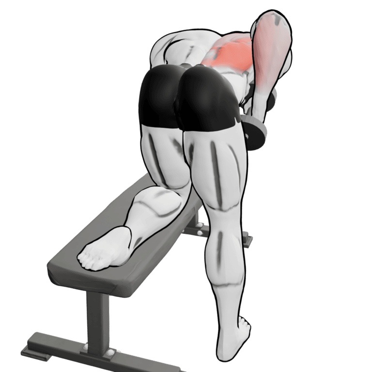 Single-Arm Dumbbell Row — finishing position, second camera angle, working the lats and teres major