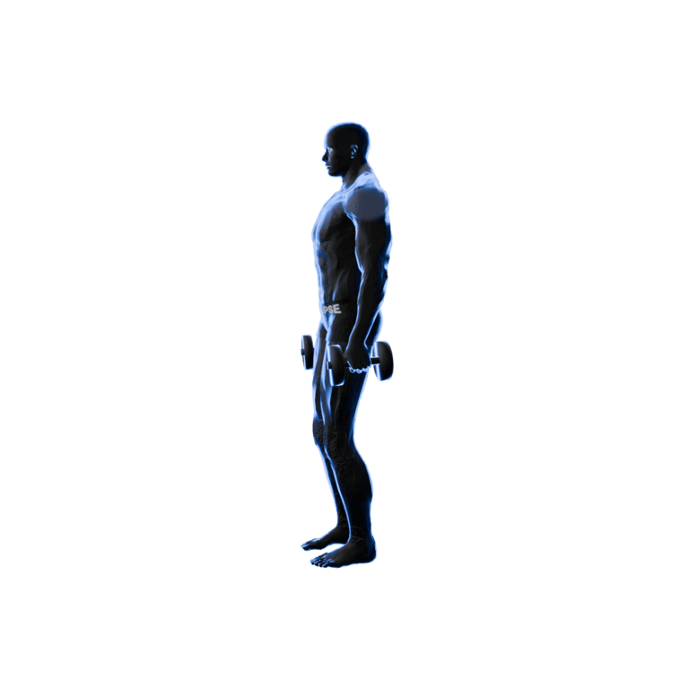 Dumbbell Shrug