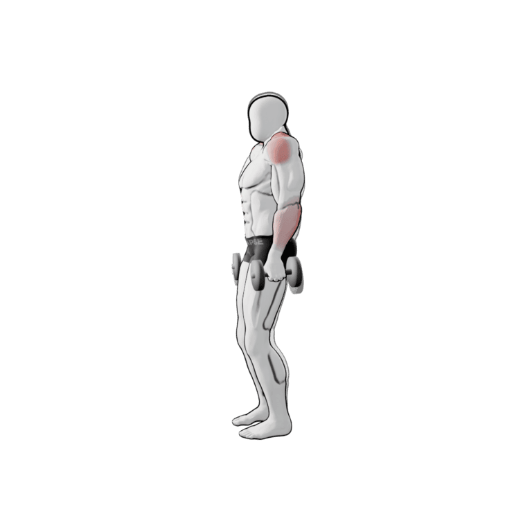 Dumbbell Shrug