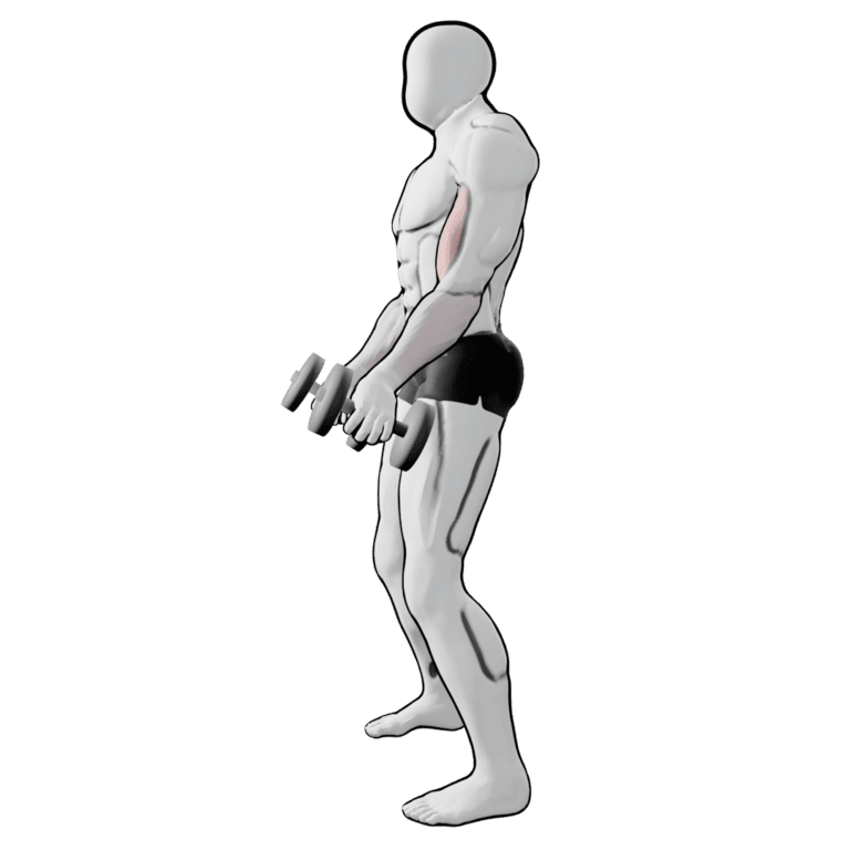 Standing Rotation Curl — starting position