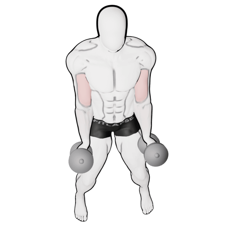 Standing Rotation Curl — starting position, second camera angle