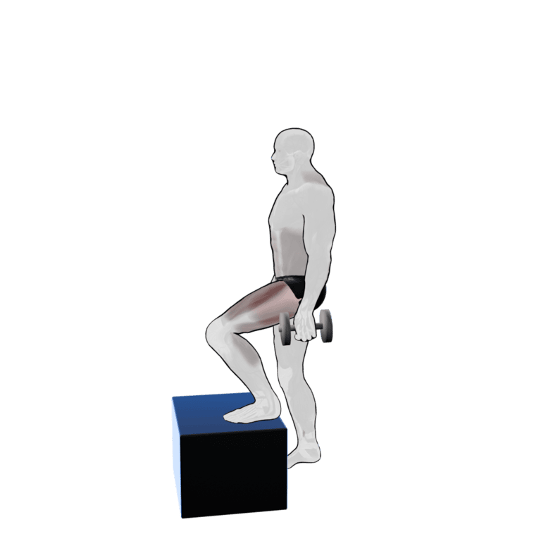 Dumbbell Step-Up