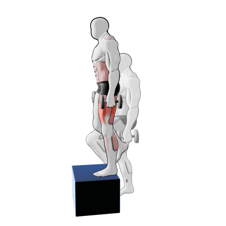 Dumbbell Step-Up