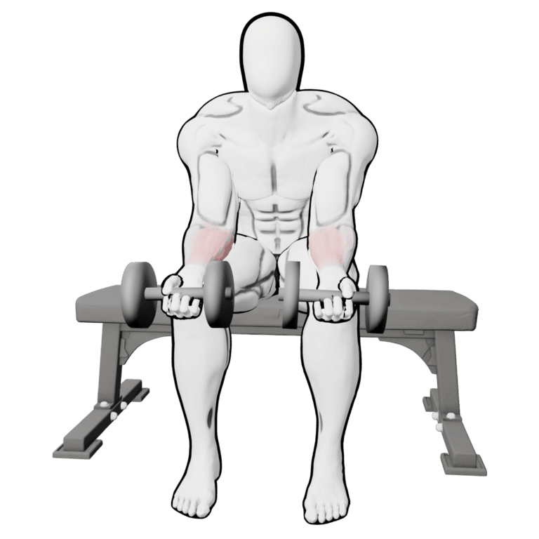 Dumbbell Wrist Curl — starting position