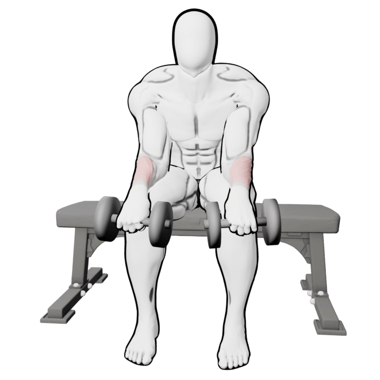Reverse Dumbbell Wrist Curl — starting position