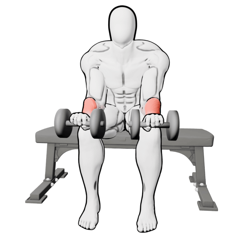 Reverse Dumbbell Wrist Curl — finishing position, working the forearms