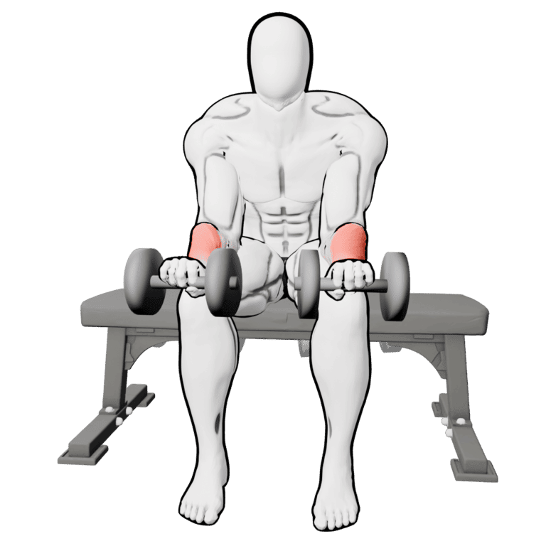 Reverse Dumbbell Wrist Curl