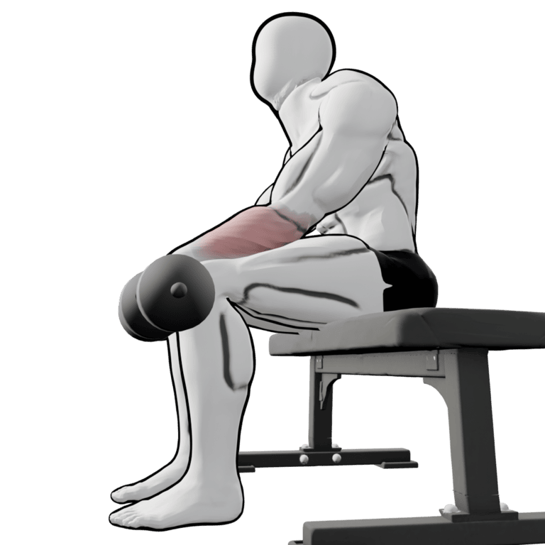 Reverse Dumbbell Wrist Curl — starting position, second camera angle
