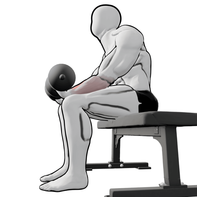 Dumbbell Wrist Curl — finishing position, second camera angle, working the forearms