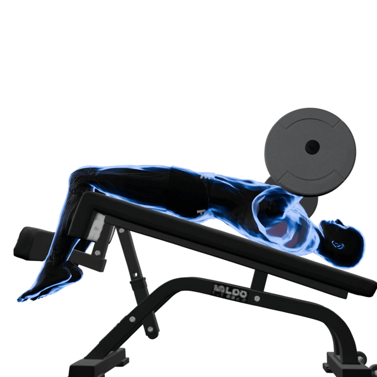 Barbell Decline Bench Press