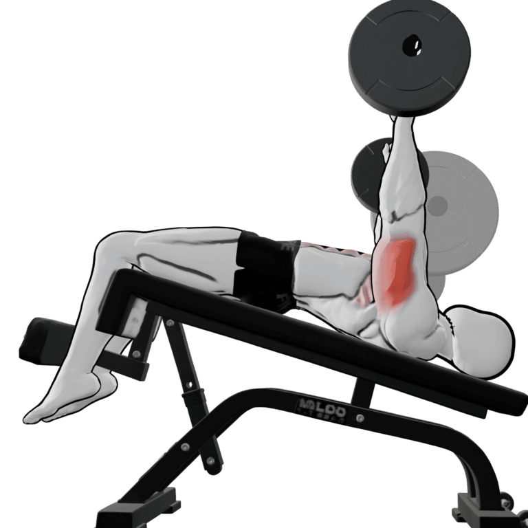 Barbell Decline Bench Press