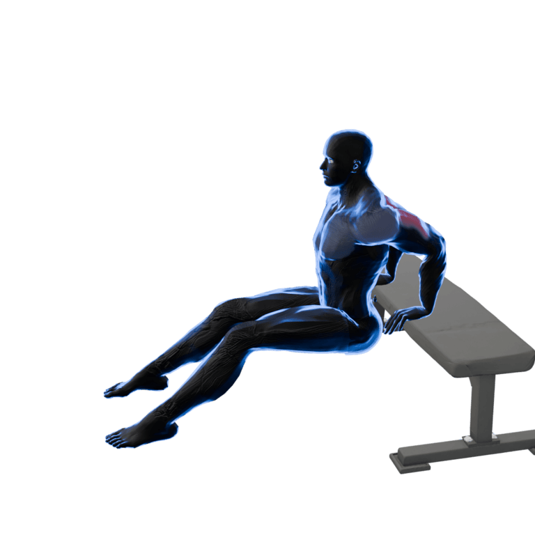 Bench Dip