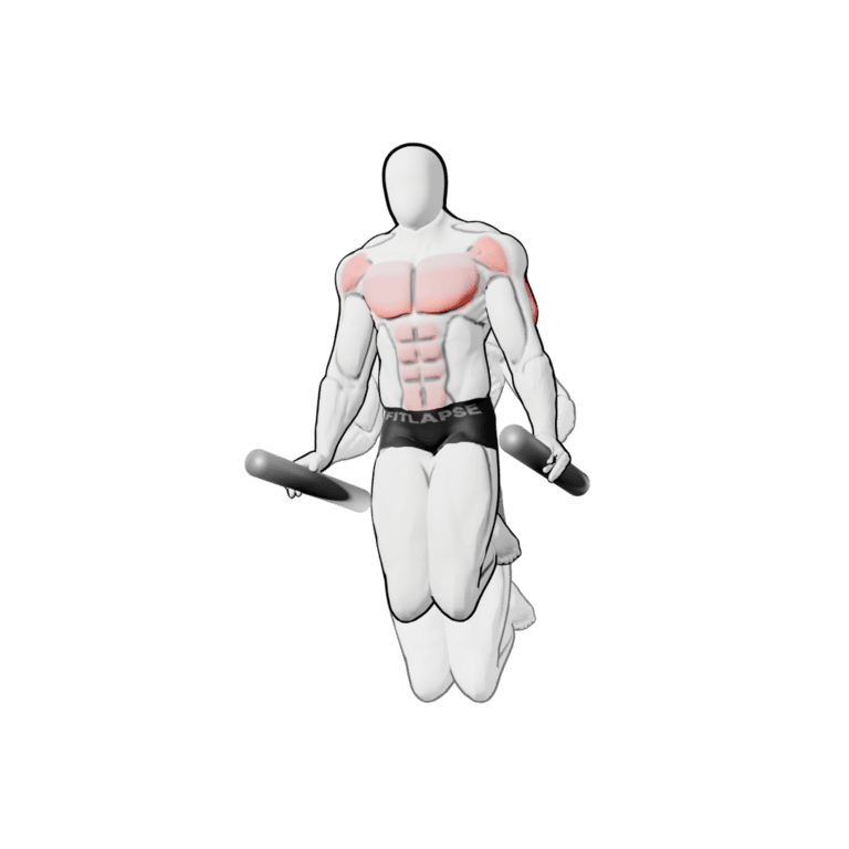 Parallel-Bar Dip