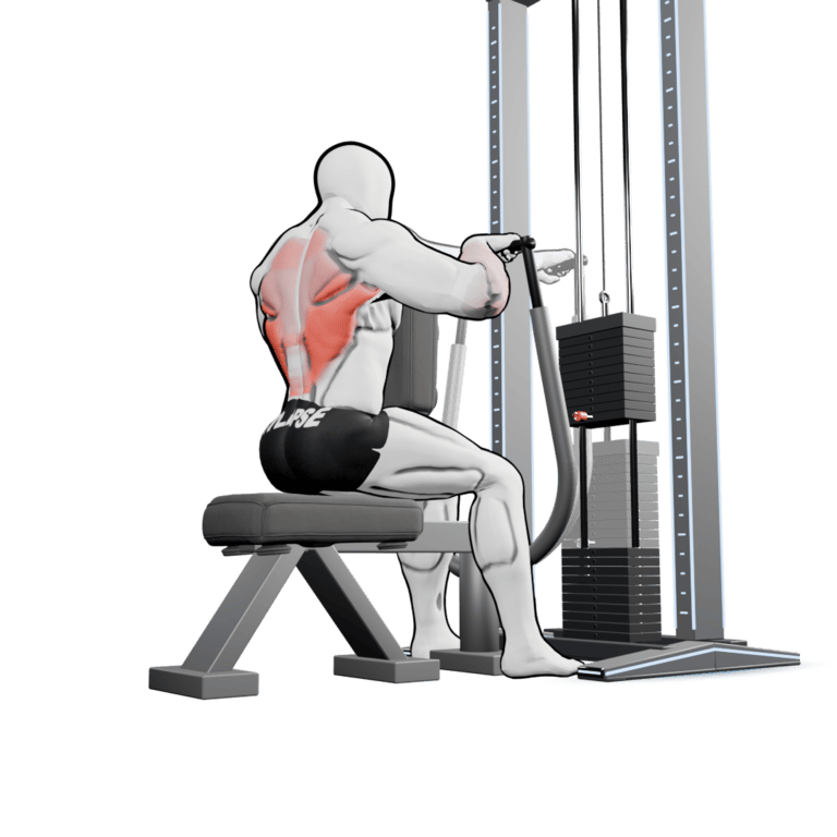 Seated Diverging Row