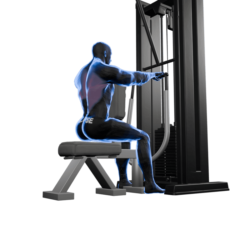 Seated Diverging Row