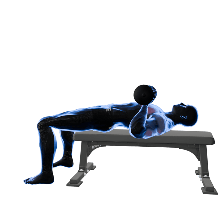 Dumbbell Bench Press
