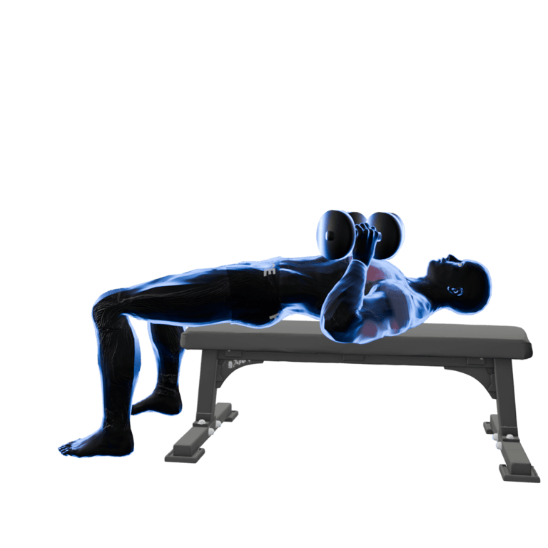 45° Dumbbell Bench Press