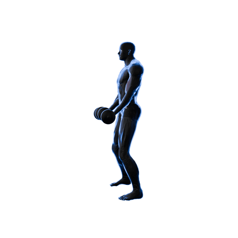 Two-Arm Dumbbell Curl