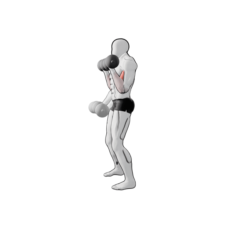 Two-Arm Dumbbell Curl