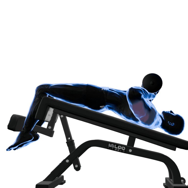 Dumbbell Decline Bench Press