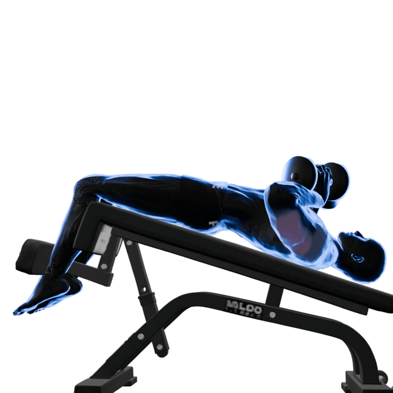 45° Dumbbell Decline Bench Press