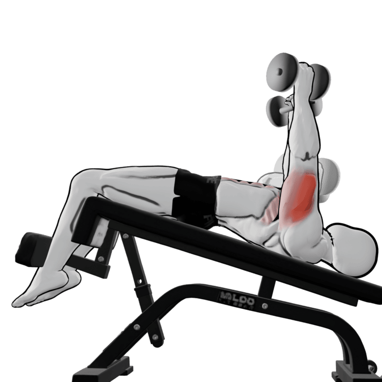 45° Dumbbell Decline Bench Press