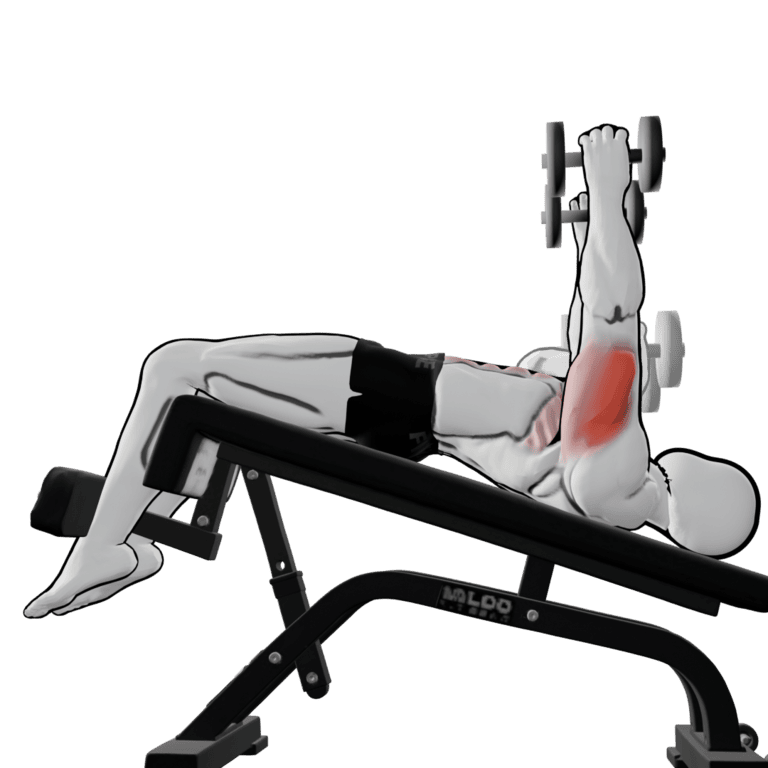 90° Dumbbell Decline Bench Press